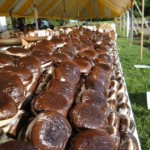 Chocolate Peanut Butter Whoopie Pies at the Whoopie Pie Festival